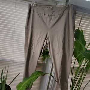 Dress pants